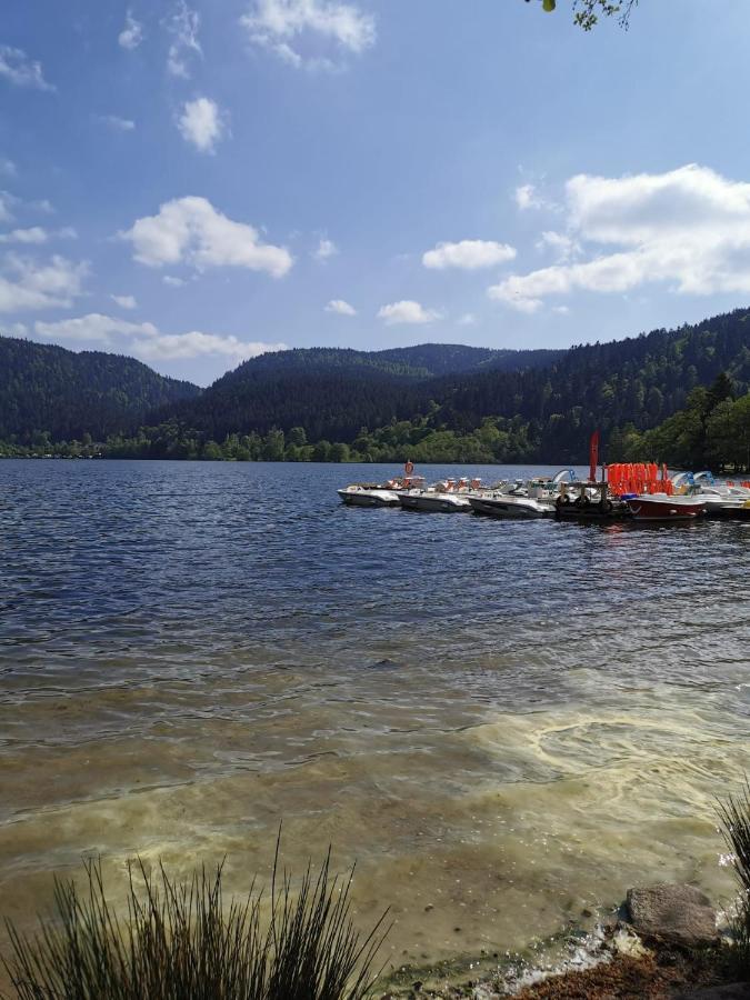 Studio Hauteur Gérardmer Exteriör bild